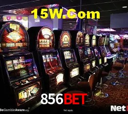 Statistics 856bet